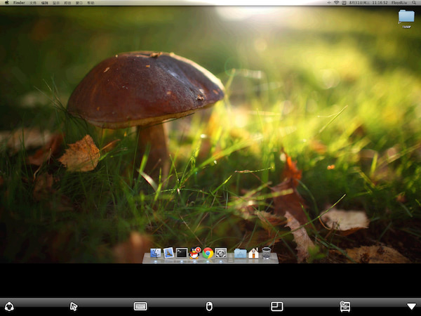 PocketCloud for iPad 界面