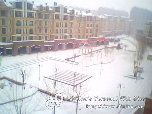 下雪了 2009年的第一场雪