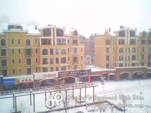 下雪了 2009年的第一场雪