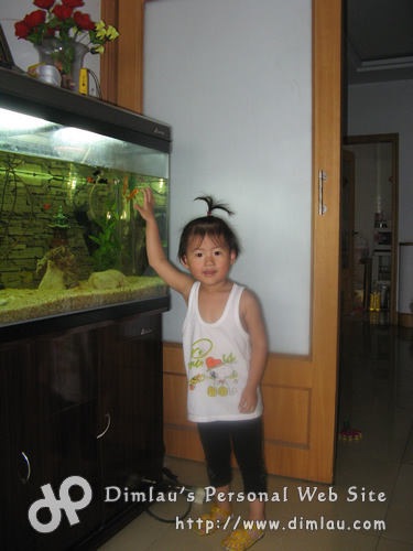 开心的冲天小辫