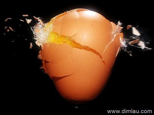破碎的鸡蛋