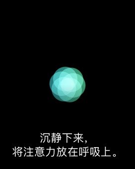 Apple Watch 呼吸应用界面