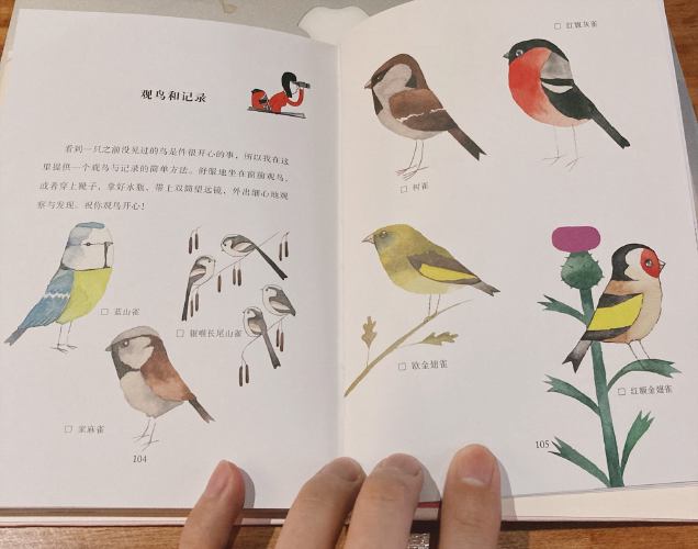 我们花园里的鸟