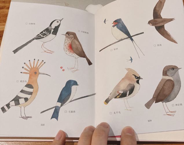 我们花园里的鸟